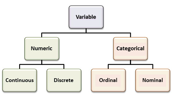 Taxonomy of variables